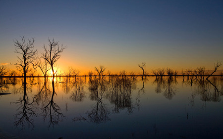 Horizon - horizon, glow, naked trees, lake, trees, reflection, orange, sunset