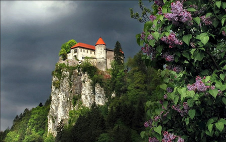 Grecian Monastary - trees, monastary, greece, lilacs, mountain, hilltop