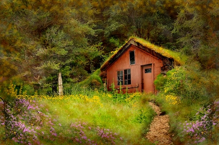 GARDEN HOUSE - trees, plank, forest, flowers, path, wooden, green, garden, plants