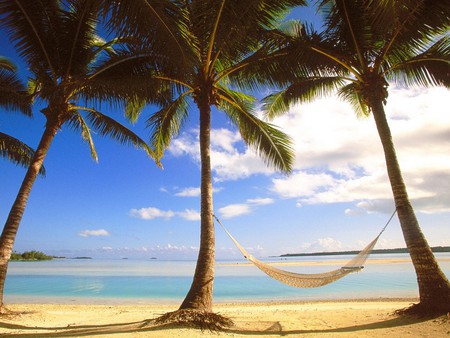 Aitutaki Cook Islands - island, ocean, beach, palm