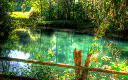 Beautiful... - summer, forest, clear, beautiful, hdr, grass, land, photography, tree, wet, nature, water, beauty, flowers, spring, daylight, peaceful, wood, lake, pond, reflection, fence, trees, day, green