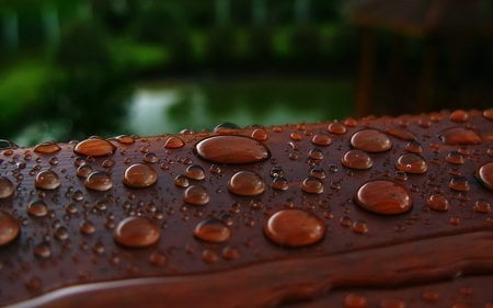 Drops... - nice, nature, rain, beautiful, green, drops