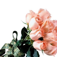 Boquet Roses. jpg