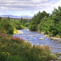 Highlands Summer