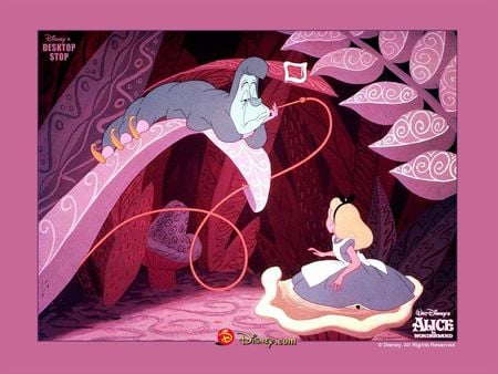 Alice  - alice in wonderland, alice, cartoon, pink alice