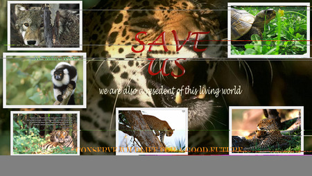 SAVE ANIMAL - for good-future, save animals