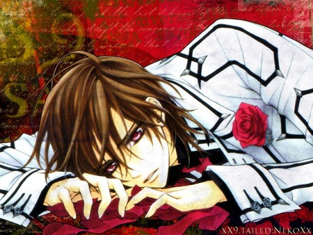 Kuran kaname - kaname, rose pettals