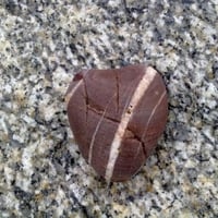 heart shape stone found on beach