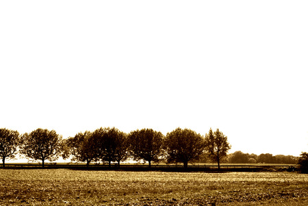 out in nature - fields, nature