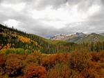 Forest And Mountains