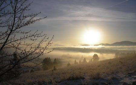 Fog on the lake - fog, lakes, nature