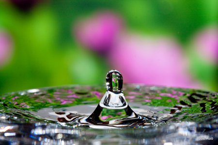 Pretty Water Drop - water, drop, flowers