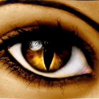 CAT's EYE 