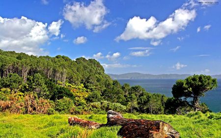 MAGIC LANDSCAPES - magic, blue, land, green, landscapes, sky