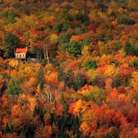 Colors of Autumn