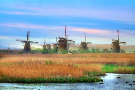 Wind Mills - picture, cool, wind mills