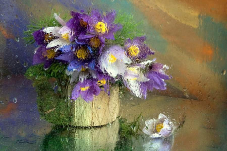 Through The Rain - glass, rain, raindrops, bouquet, white, purple, window, blue, flowers