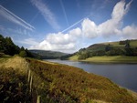 Autumn In Derwent Valley