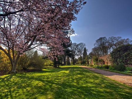 Whatton Gardens Park - trees, sunny, nature, garden, green, grass