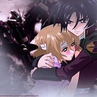 Shinn and Stellar