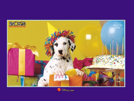 Happy Birthday to a Dalmatian!! - dogs, birthdays, presents, puppies, cake, birthday crown, animals, dalmatians