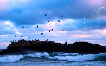 Here My Home - sky, rock, bird, lightning, wave, seagull, ocean, blue