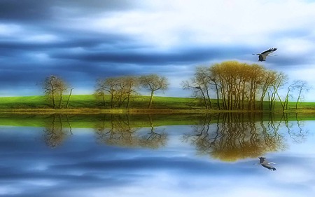 In Search Of - sky, lake, reflection, stork, blue, tree, bird