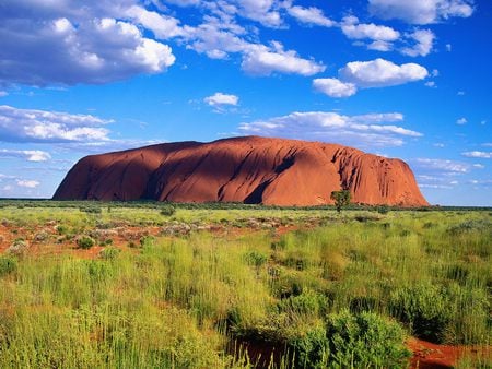 Uluru Kata Tjuta National Park Australia - red, green, field, mountain, australia