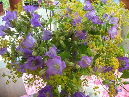 WILD FLOWERS - purple, yellow, green, bouquet, flowers