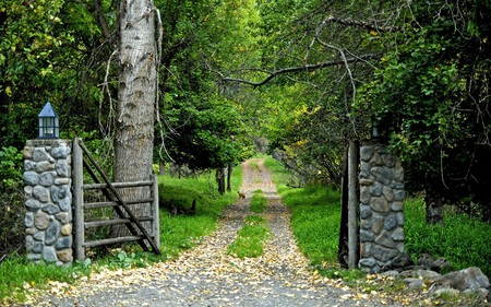 Green Nature - forests, road, trees, nature, green