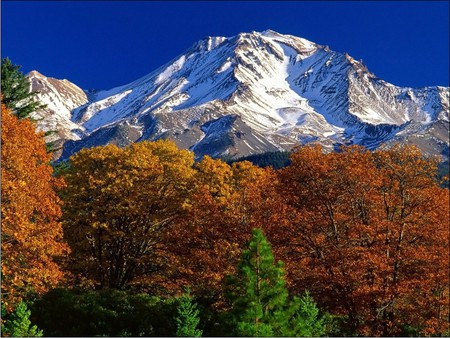 autumn view - trees, beautiful, autumn, view, snow, mountains