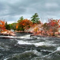 Colors of Autumn