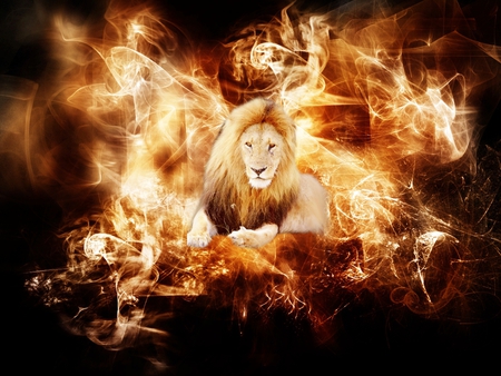 Featured image of post Fire Background Images Lion - This is hd cb background, cb editing background, picsart background for picsart as well as for fire lion lion king.