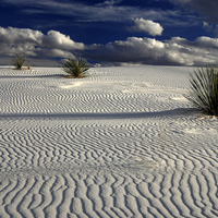 White Sands