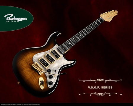 Ruokangas Guitars V S O P  Series