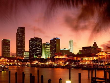 Miami Bay at dusk - lights, evening, dock, silhouettes, buildings, bay