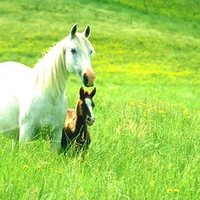 White Mommy and Brown Baby=LOVE