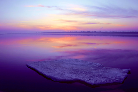 Beautiful - nature, purple