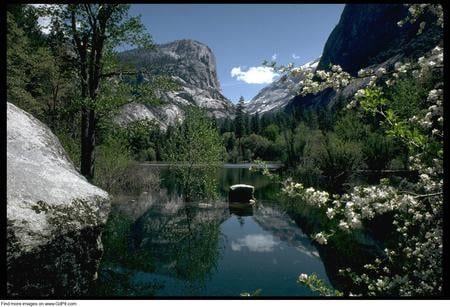 forces of nature - nature, water, mountains, tree