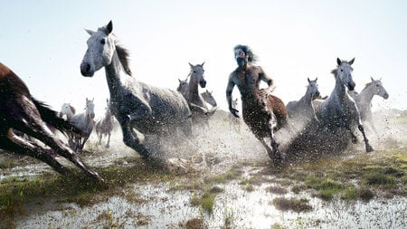 Running Wild - horses, abstract, fairytale, minotuar, fantasy, weird