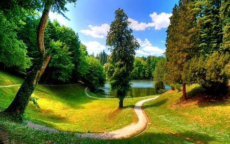 PATH TO RELAXATION - sky, lake, trees, blue, green, field