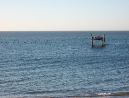 Placid Bay - calm, beach, sea, birds