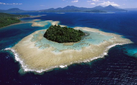 lonely forest  - water, blue, island, ocean, forest