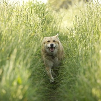 Katie in the field