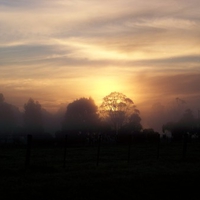 Awesome Autum Sunrise