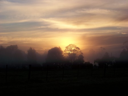 Awesome Autum Sunrise - sunrise, awesome, autum