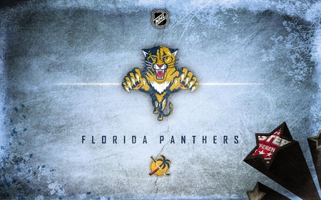 Florida Panthers - florida, nhl, panthers