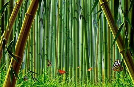 deep in the woods... - deep, forest, bamboo, butterflies