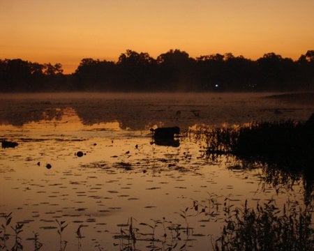 Bay - nature, lakes, chesapeake bay ret, rosie, bay, chesapeake bay va