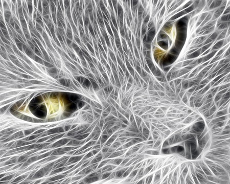 3d cat - wallpaper, abstract